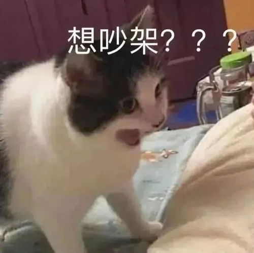 表情包赞美表情包图片大全0618期