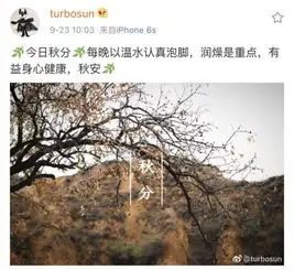 30岁的女人如何保养成20岁的少女