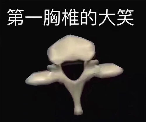 育儿