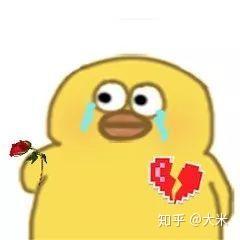 有没有这只鸭的表情包