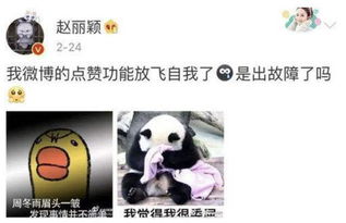 这些明星撞脸动物周冬雨长得像藏狐适合演妲己她不是小黄鸭吗
