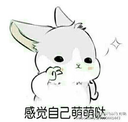 这个兔子表情叫什么,哪里能下载表情包