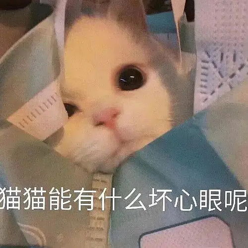 都送什么礼物呀