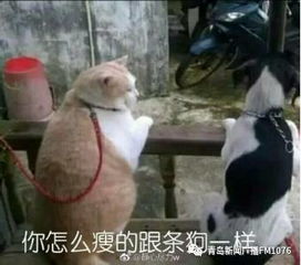 地铁上男子奔跑,众人狂逃,到底发生了什么