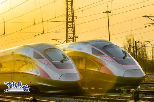 收藏转发复兴号家族最全图鉴来了