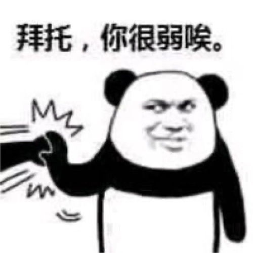 有什么让人一看就觉得哇这个人好沙雕的表情包