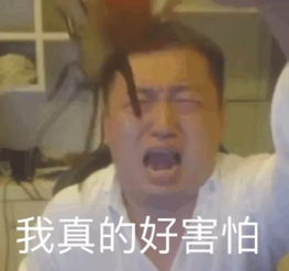 小米如此评价一加性价比8年米粉夸一加遭雷军拉黑