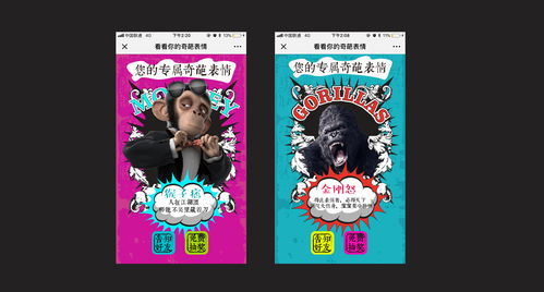 动物的奇葩表情测试互动h5