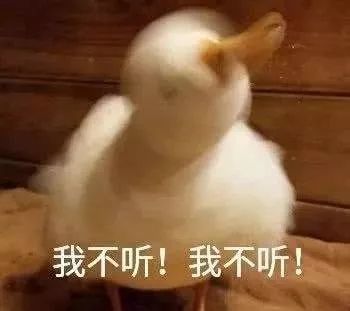 魔都首家撸鸭馆王思聪同款鸭鸭太可爱了