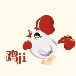 弥书涛老师2017十二生肖运程预测生肖鸡