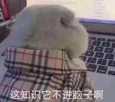 超搞笑表情包动画脑子