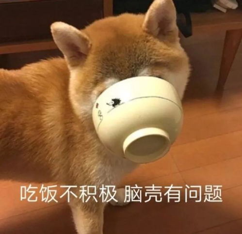 出国留学有哪些成本是没预料到的看到第5个我笑了...