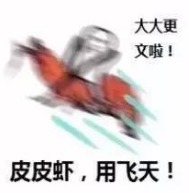 皮皮虾用冲浪表情包