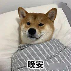 一波柴犬表情包,拿好不谢