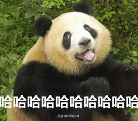 g4宝藏这匹马,现代仿造的成本比旧物还高