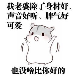 该怎样宠媳妇赶紧转给男朋友看