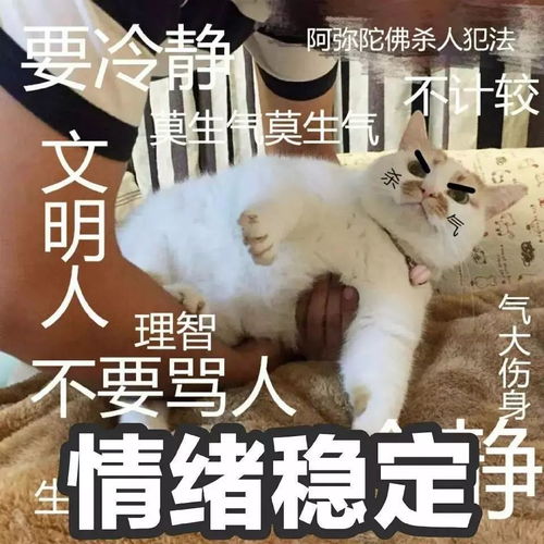 老娘我美若天仙,老公拍我丑上天哈哈哈哈哈哈哈哈