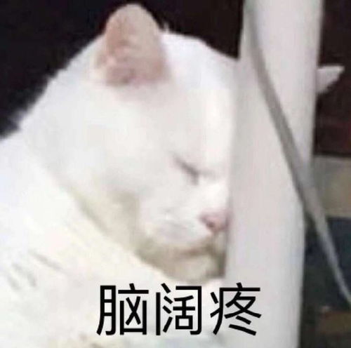 热门表情包拿图片休想诱惑我