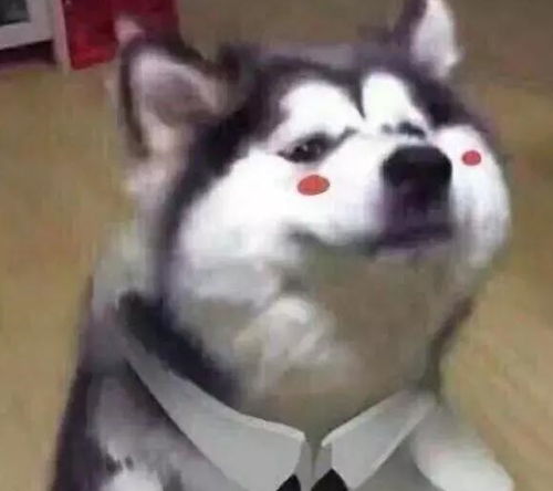 蠢萌二哈表情包豪情