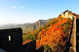 天津及周边赏红叶打卡地别错过整个秋天,这个景区,50岁以上免票
