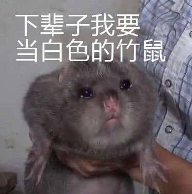 我好累表情包打劫