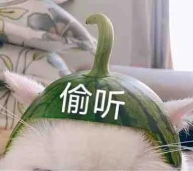 表情包我尽量哭的很小声