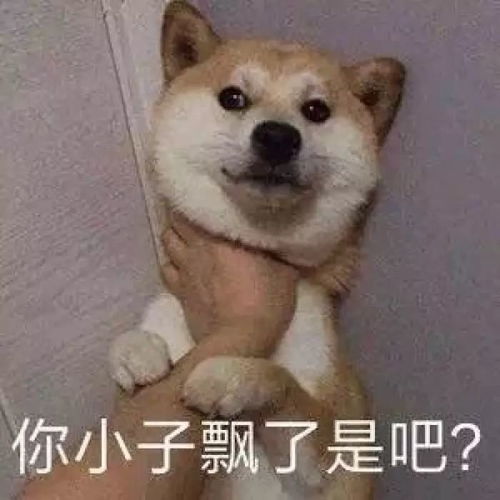 刷屏啦微信上新新表情包,你们期待已久的狗子来了