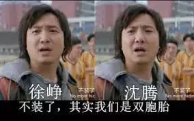 娱乐圈撞脸明星大盘点相似度高达99,真的不是双胞胎吗