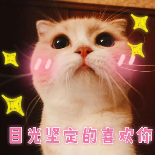 考研复试中遇到的高频问题及破解妙招,调剂也适用