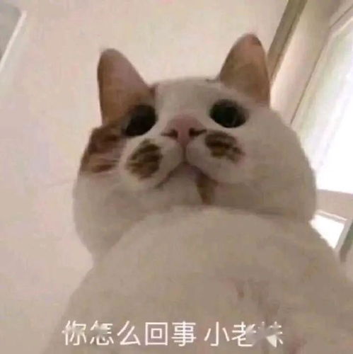 唐艺昕孕期大方晒照身材居然毫不走形,但被人关注到这里