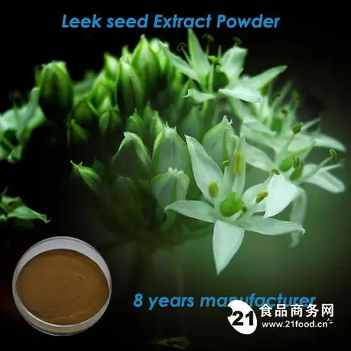 男性健康纯天然韭菜籽提取物101tlc批发价格西安旭煌生物植物提取物
