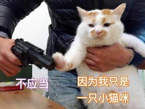 西虹市首富王多鱼剪10亿发型的时候,真的忍不住笑了