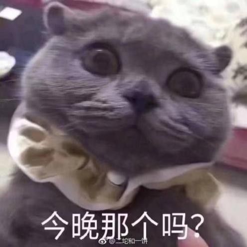 御姐多的交友软件有哪些