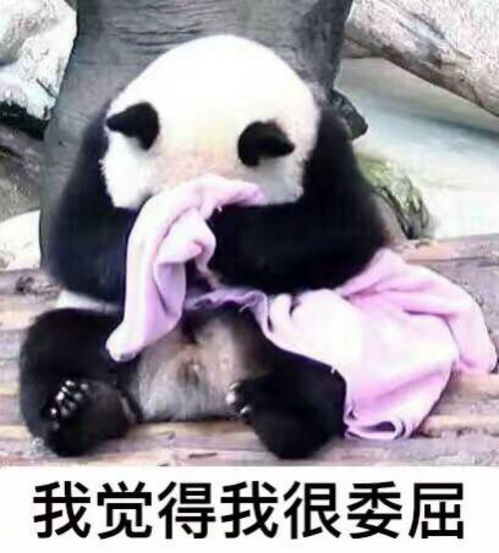 男朋吃醋了应该怎么哄他