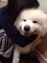 搞笑gif让你们感受下什么叫做虚胖
