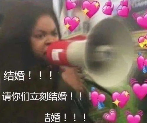 我可以不搞爱情,但我的cp一定要结婚
