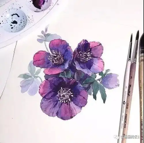 svetlanaeremeeva水彩插画欣赏