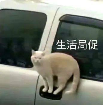 妈,我这就去拖地