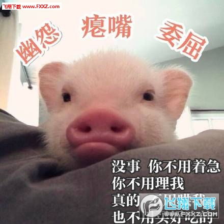 吸猪表情包无水印版吸猪表情包高清版下载飞翔下载