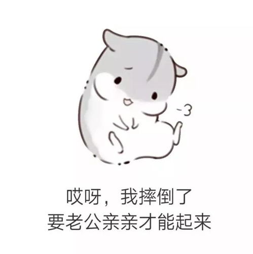 仓鼠套路表情包男朋友生气了该怎么哄