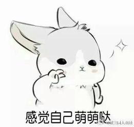 这个兔子的表情包,最好是直接发图,全套