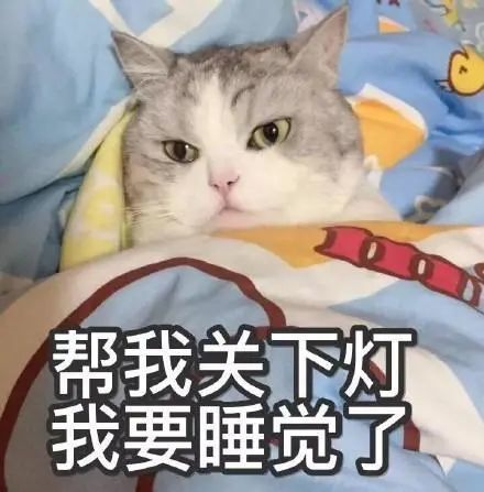 想动我的人,没门