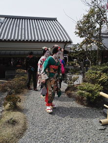 50岁60岁两人畅游日本12个城市暴走30天80个景点和商业街从南到北玩个遍