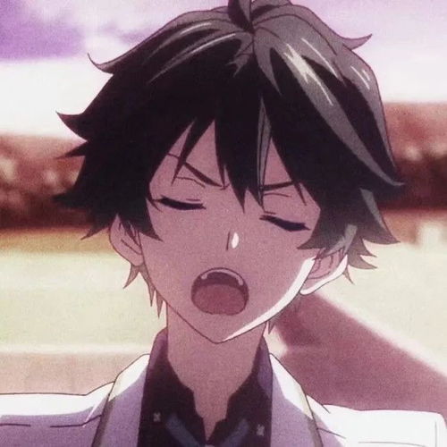 适合40岁男生的头像动漫加多