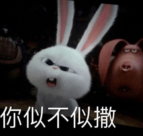 人间清醒是中妇