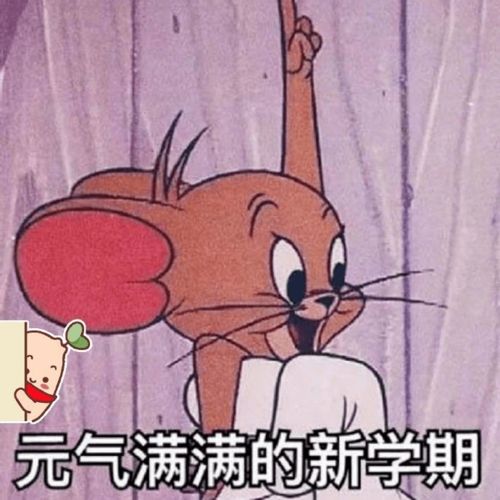 开学倒计时睢宁这所新学校将如期开学