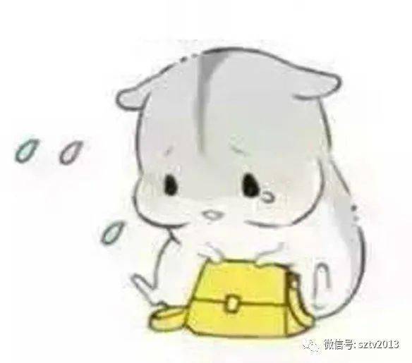 划船表情包小仓鼠
