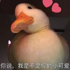 啤酒买1送1储值最高送800海乐星周年庆居然玩这么大