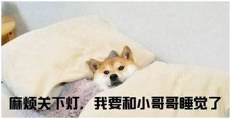 小鲜肉扎堆的时代,金马男配林柏宏凭什么成为下一个爆款