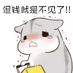 我好像也没有买什么,但钱就是不见了